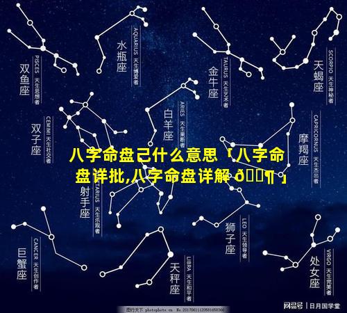 八字命盘己什么意思「八字命盘详批,八字命盘详解 🐶 」